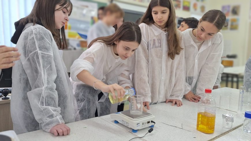 Работилница во ООУ Петар Поп Арсов