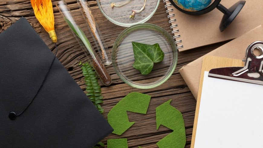 Клучната улога на образованието во промоција на одржливи навики за управување со био отпадот