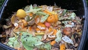 КОМПОСТИРАЊЕ – ПРАКТИЧНО РЕШЕНИЕ ЗА УПРАВУВАЊЕ СО БИООТПАД ВО ЈАВНИОТ И ПРИВАТНИОТ СЕКТОР