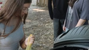 Успешно реализирана акција за селекција и компостирање на органски отпад во ООУ „Аврам Писевски“